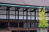 京都御所 呉竹と清涼殿
