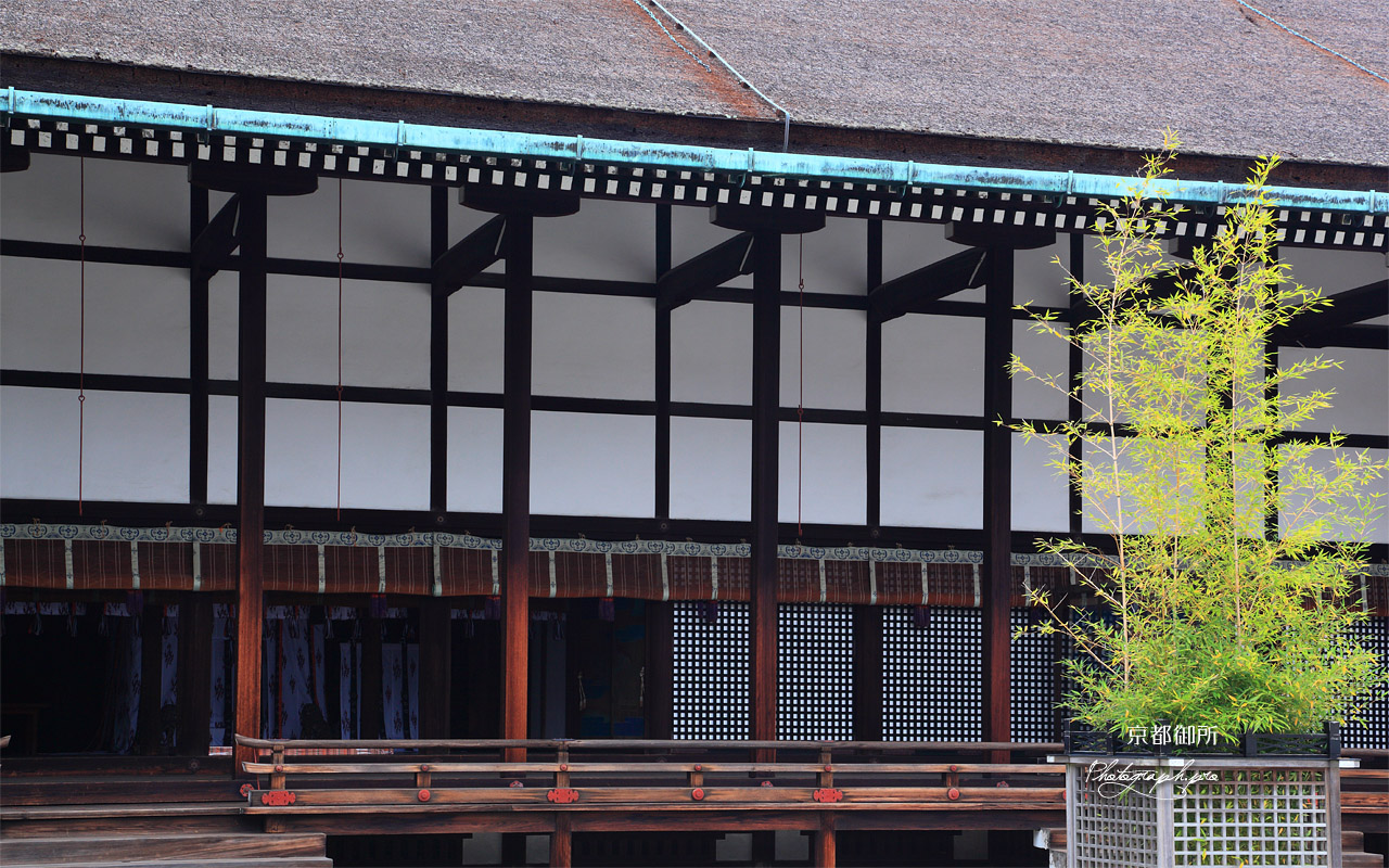 京都御所 呉竹と清涼殿 壁紙