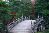 京都御所 御池庭の欅橋