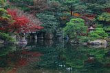 京都御所 御池庭の紅葉と石燈籠