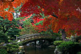 京都御所 紅葉越しの御内庭