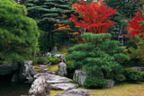 京都御所 御内庭の紅葉