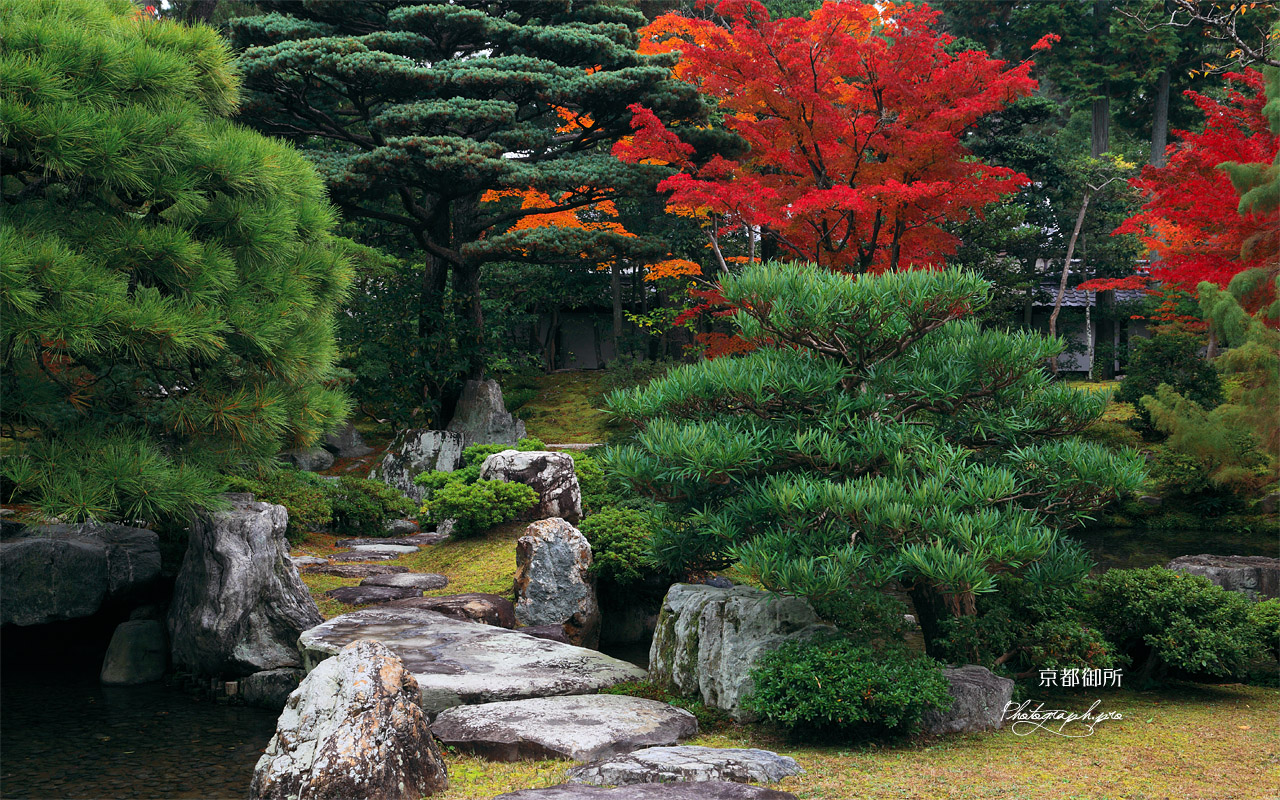 京都御所 御内庭の紅葉 壁紙