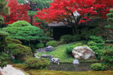 京都御所 御内庭の紅葉と泉殿