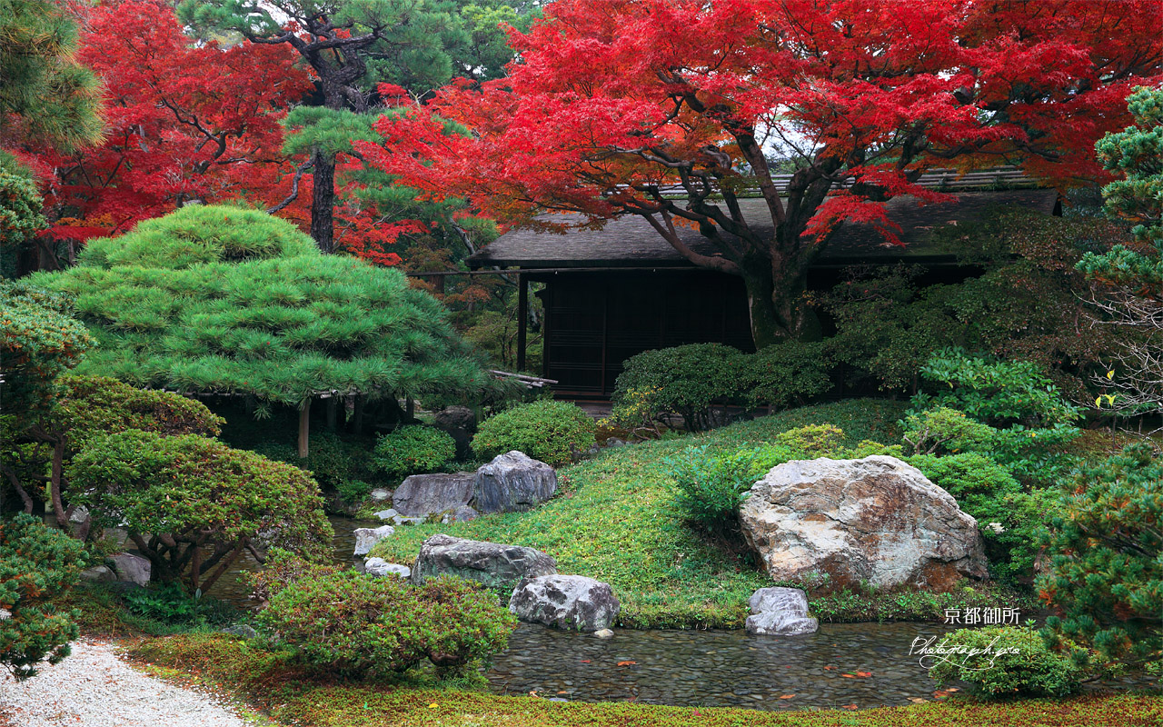 京都御所 御内庭の紅葉と泉殿 壁紙