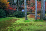 三千院 紅葉の阿弥陀堂