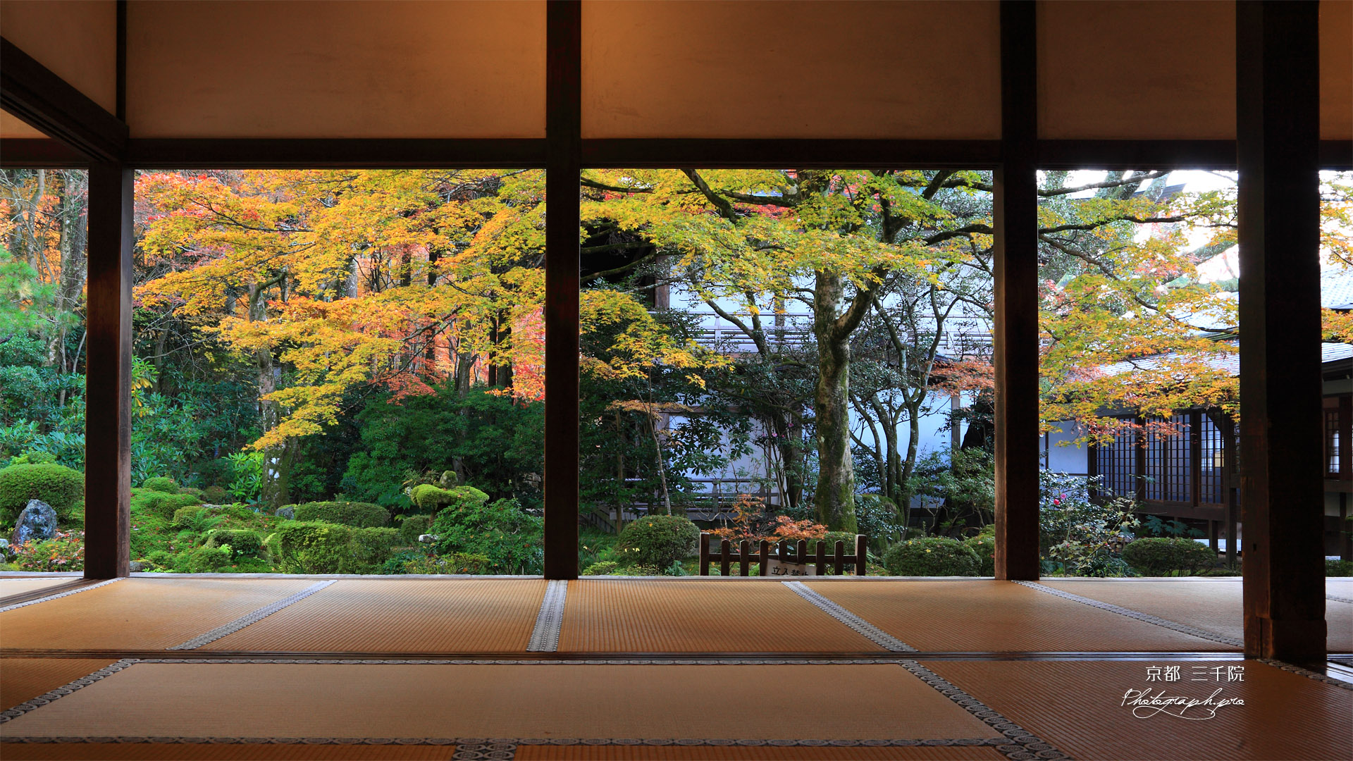 三千院 客殿から聚碧園の紅葉