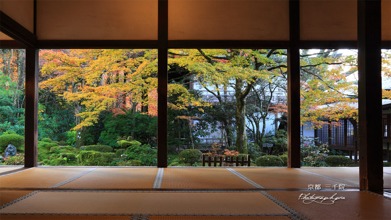 三千院 客殿から聚碧園の紅葉 壁紙