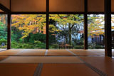 三千院 客殿から聚碧園の紅葉
