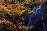 京都大原 音無ノ滝の紅葉