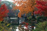 渉成園 紅葉と侵雪橋