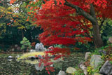 渉成園 南大島の紅葉と鷺