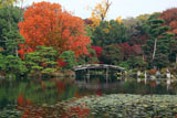 渉成園 紅葉の印月池