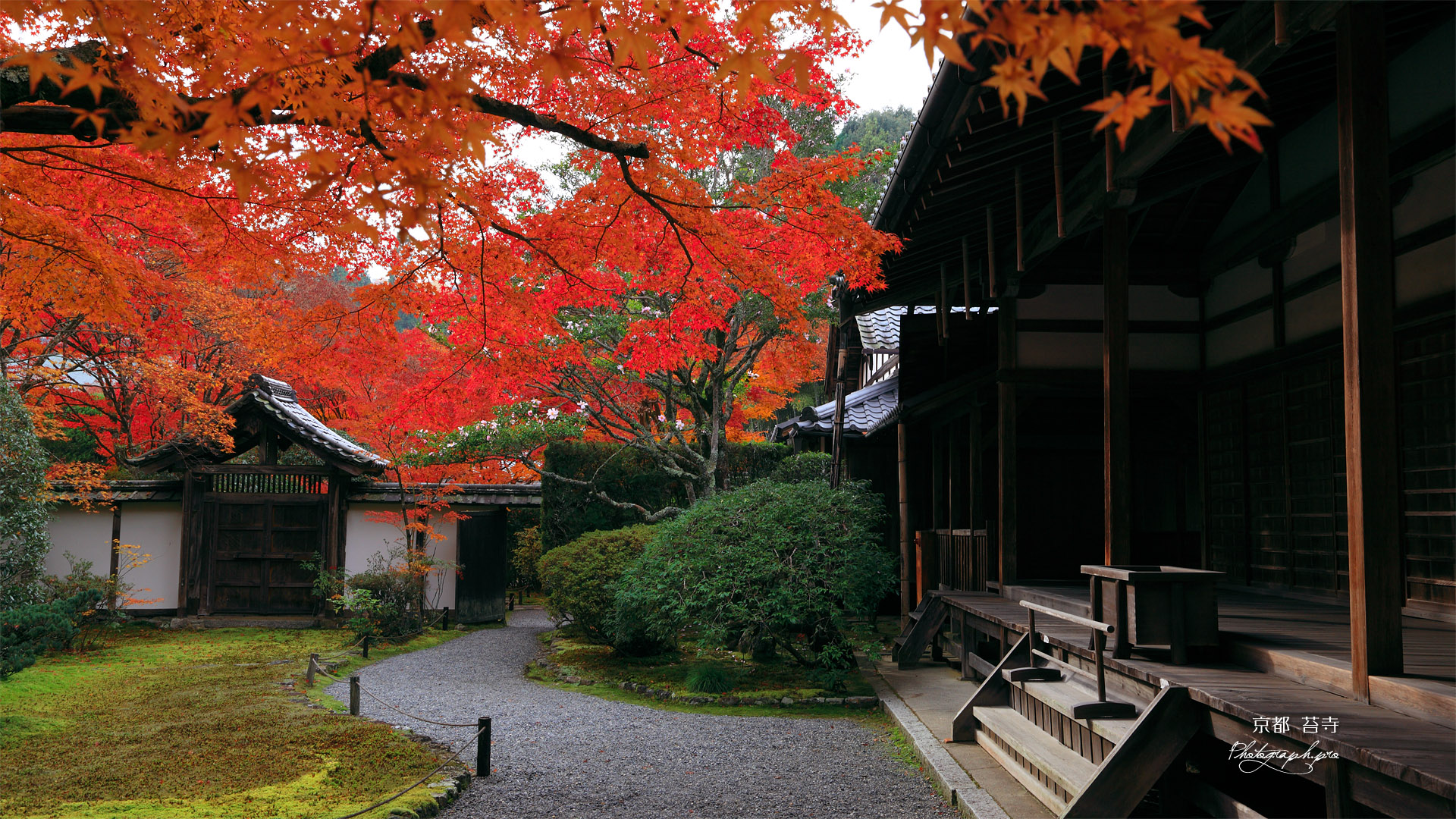 苔寺 紅葉と観音堂