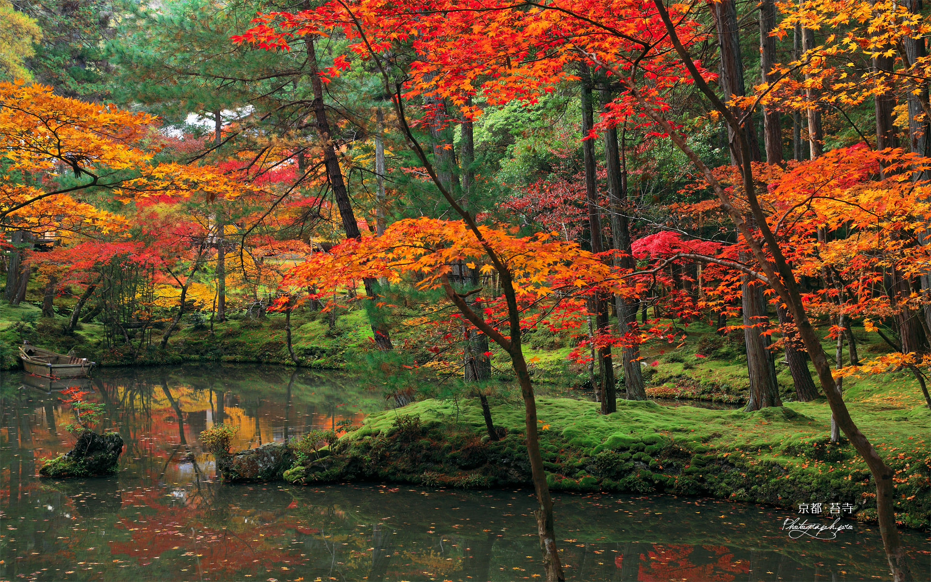 苔寺 紅葉と黄金池の舟