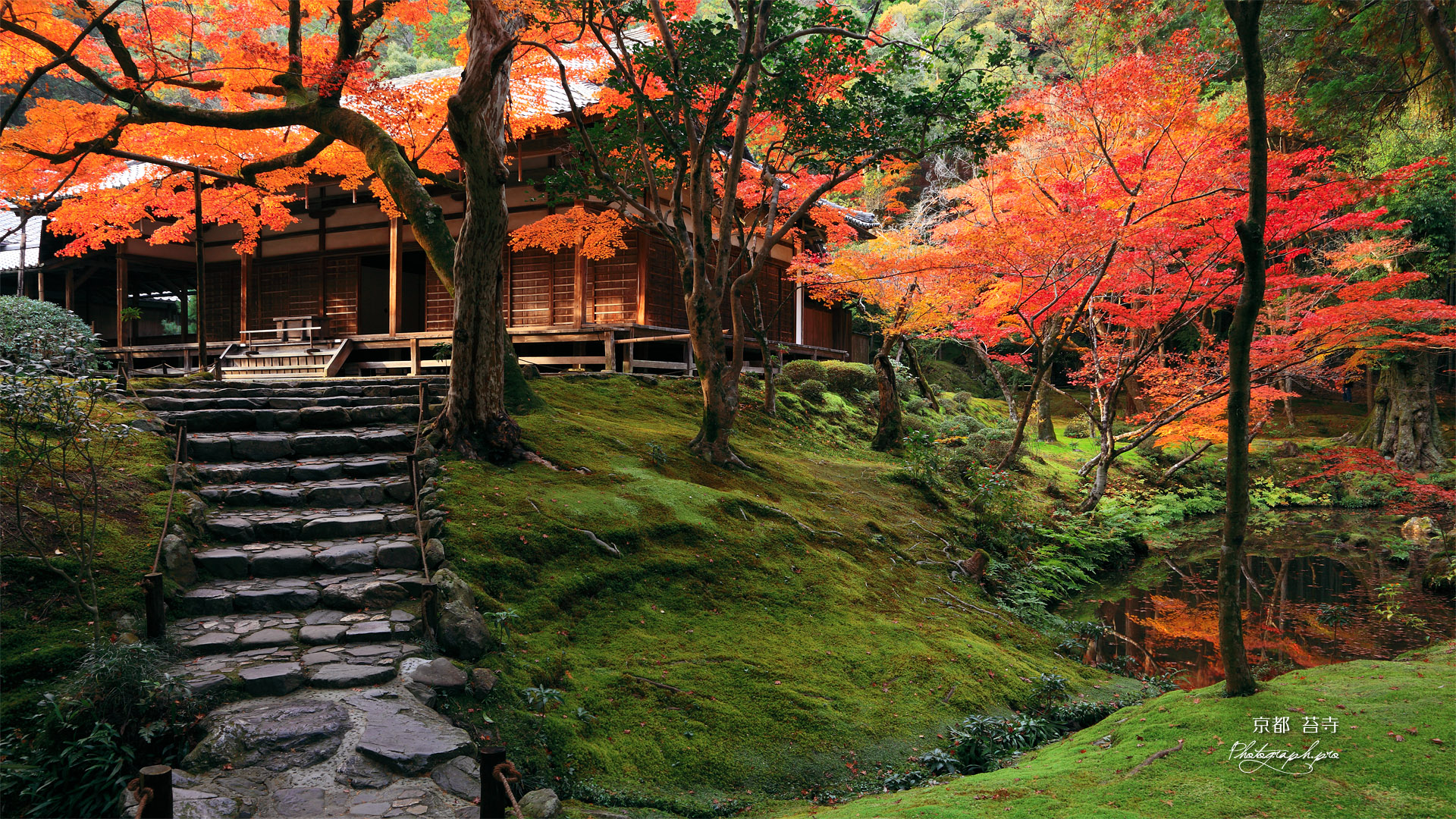 苔寺 紅葉の観音堂と金剛池