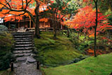 苔寺 紅葉の観音堂と金剛池