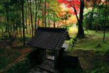 苔寺 向上関と紅葉