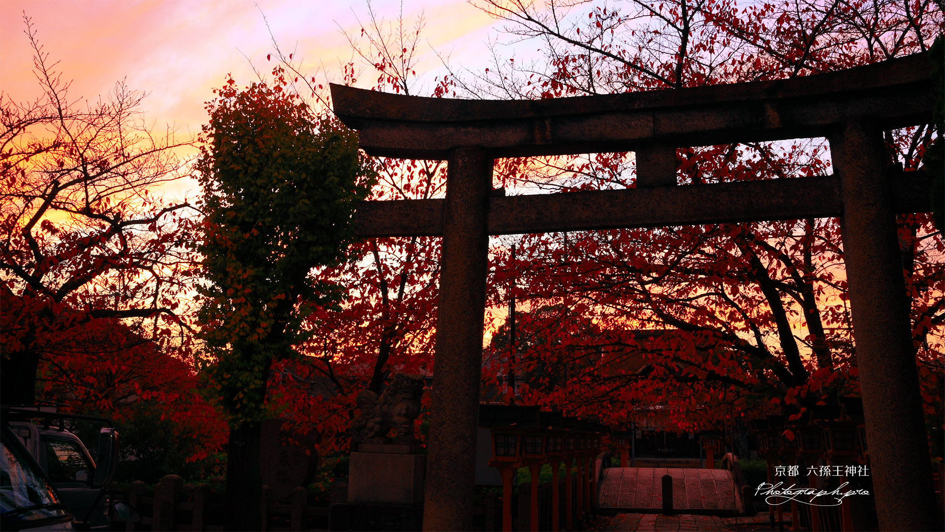 六孫王神社 桜紅葉と夕焼け