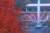 蹴上インクライン 紅葉の南禅寺船溜り