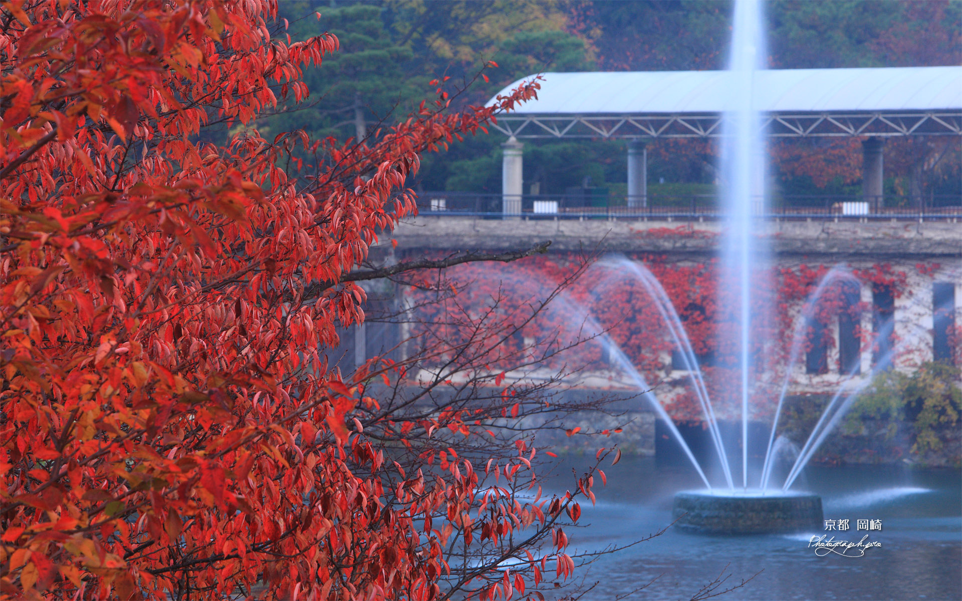 蹴上インクライン 紅葉の南禅寺船溜り