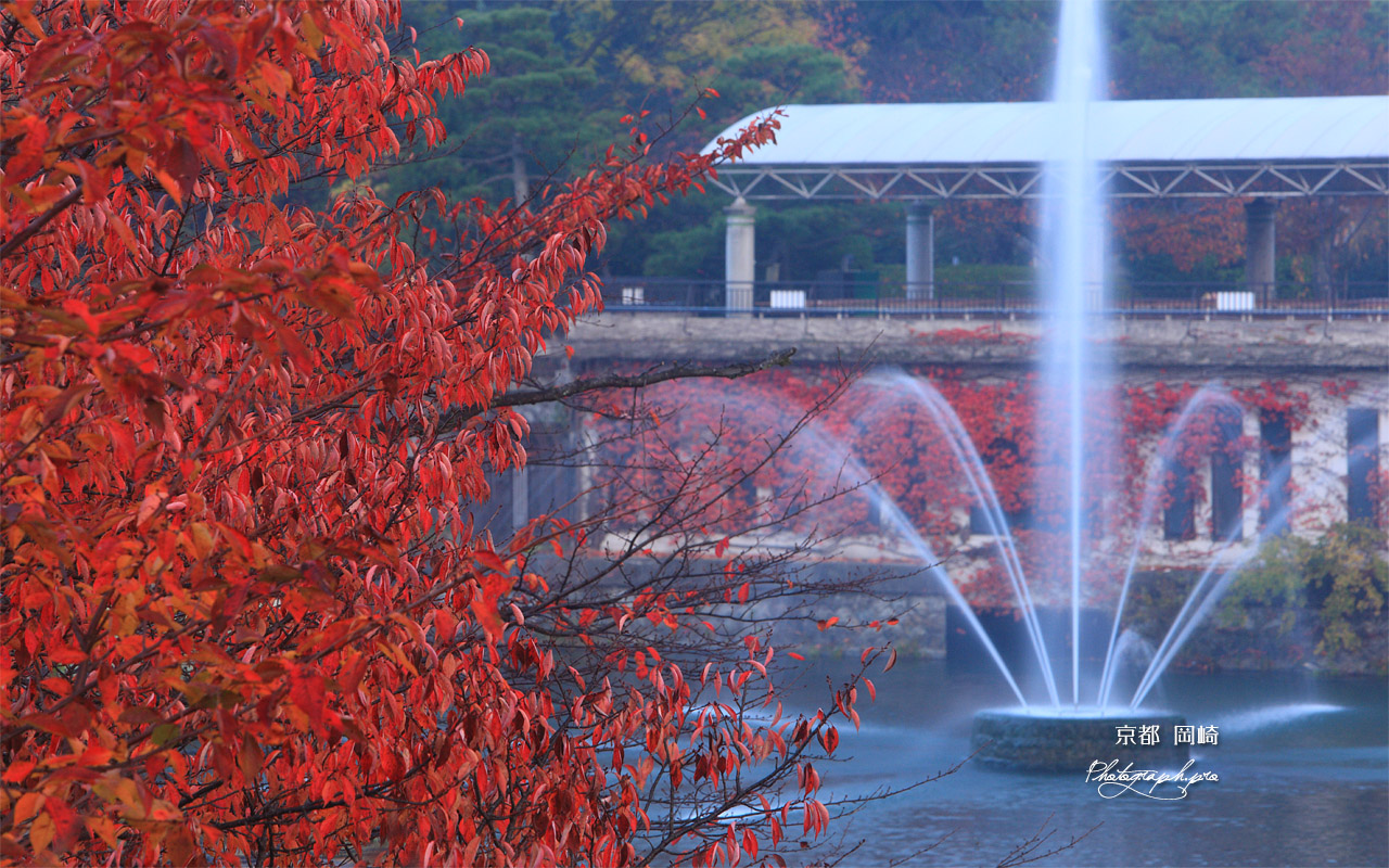 蹴上インクライン 紅葉の南禅寺船溜り 壁紙