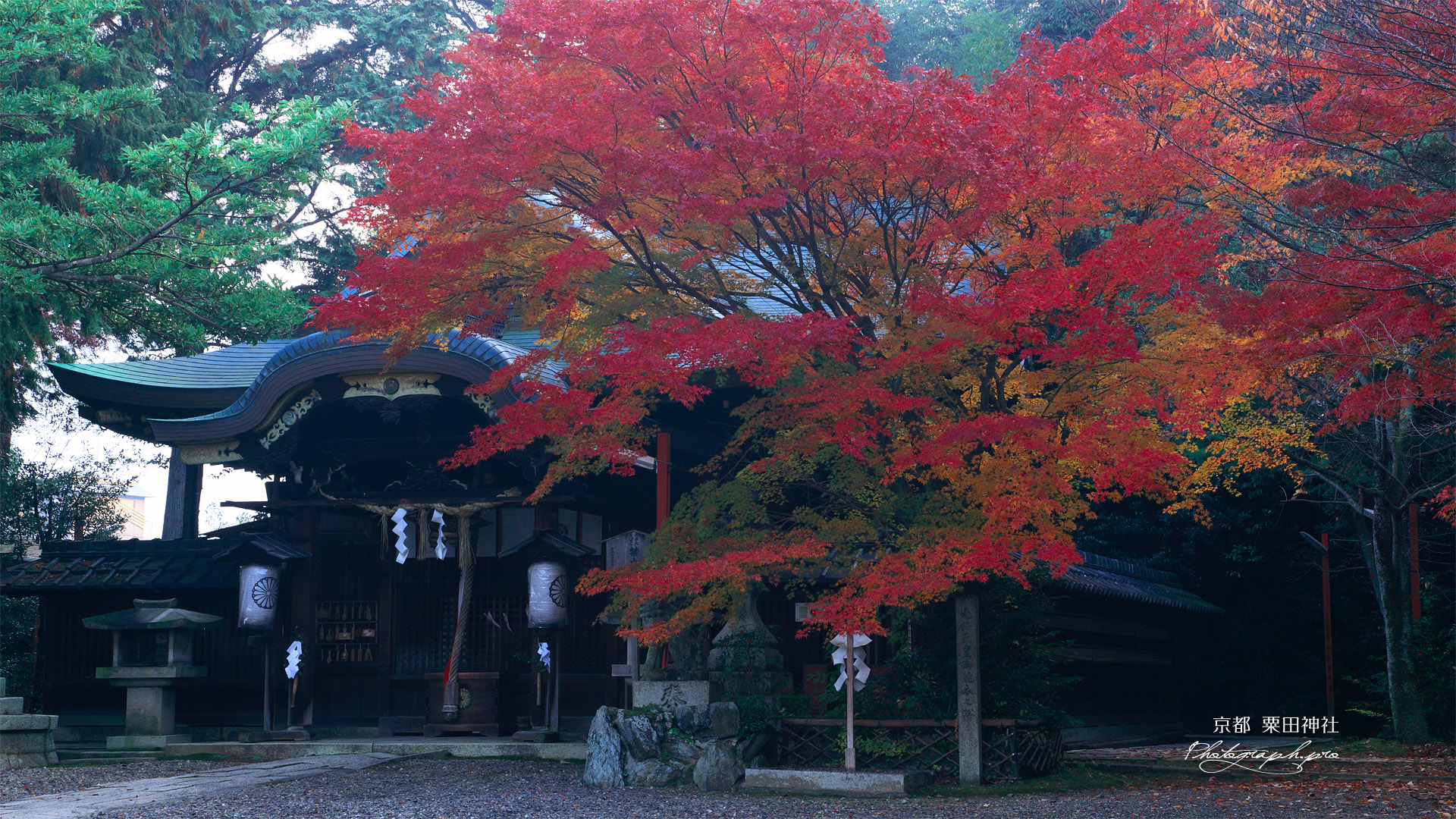 粟田神社 紅葉と本殿