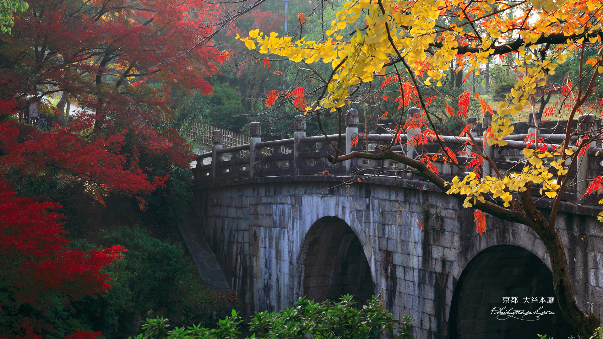 大谷本廟 紅葉の石橋