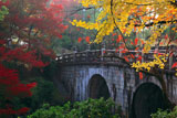 大谷本廟 紅葉の石橋
