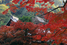 成就院