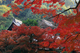 清水寺成就院