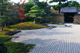 大徳寺芳春院 花岸庭の桜紅葉