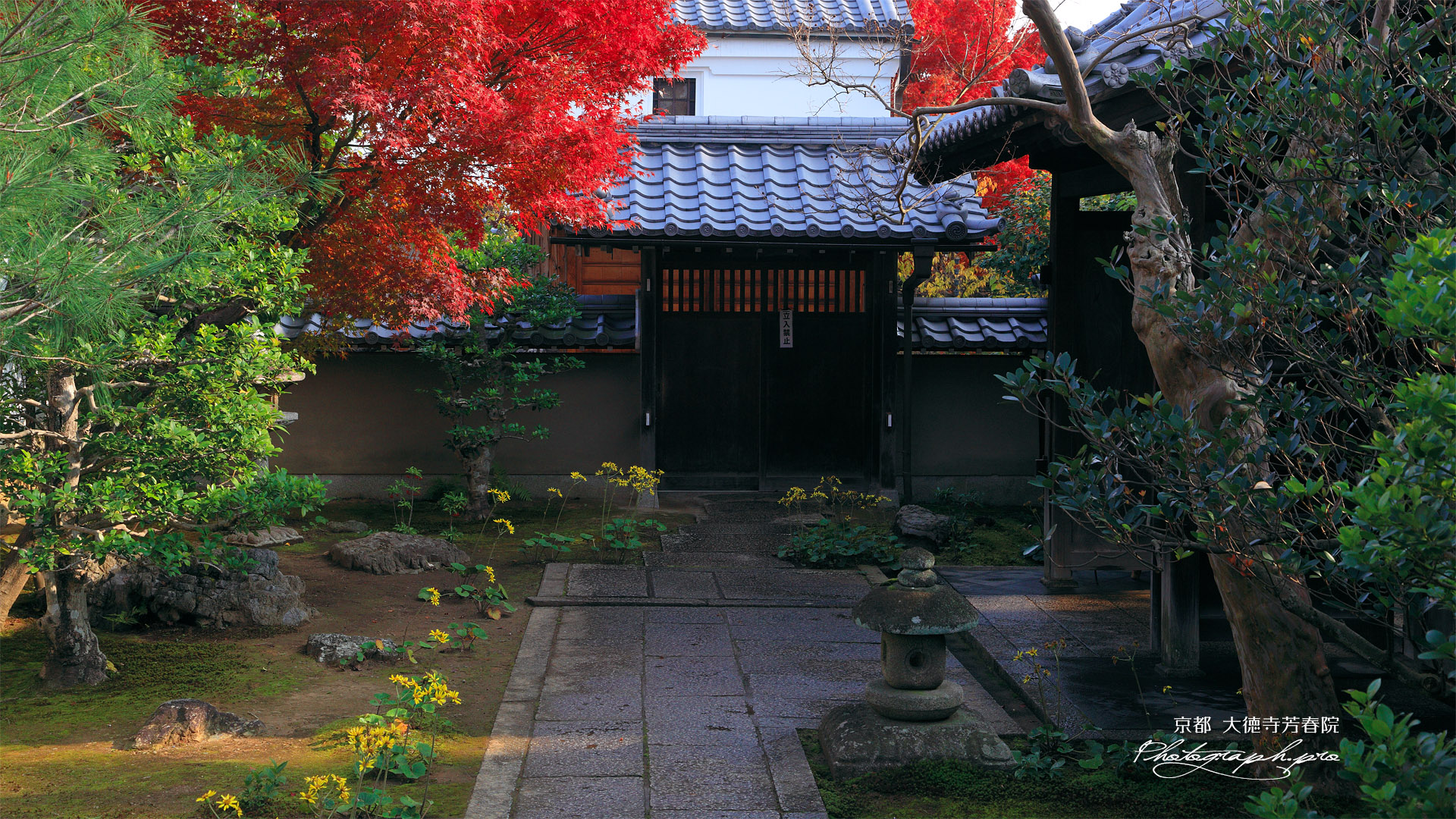 大徳寺芳春院 芳春院からの高林庵