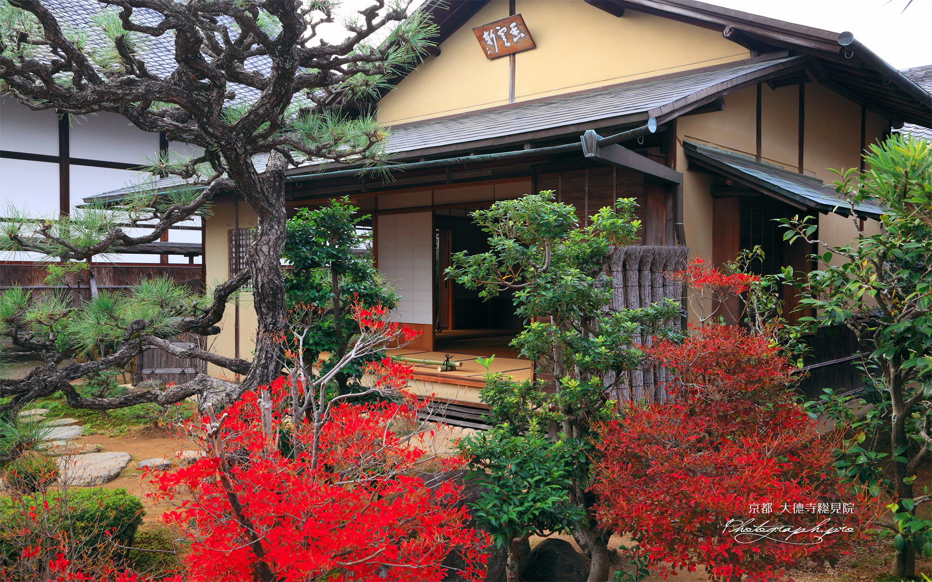 大徳寺総見院 ドウダンツツジと香雲軒