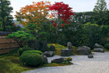 大徳寺興臨院 方丈前庭の紅葉