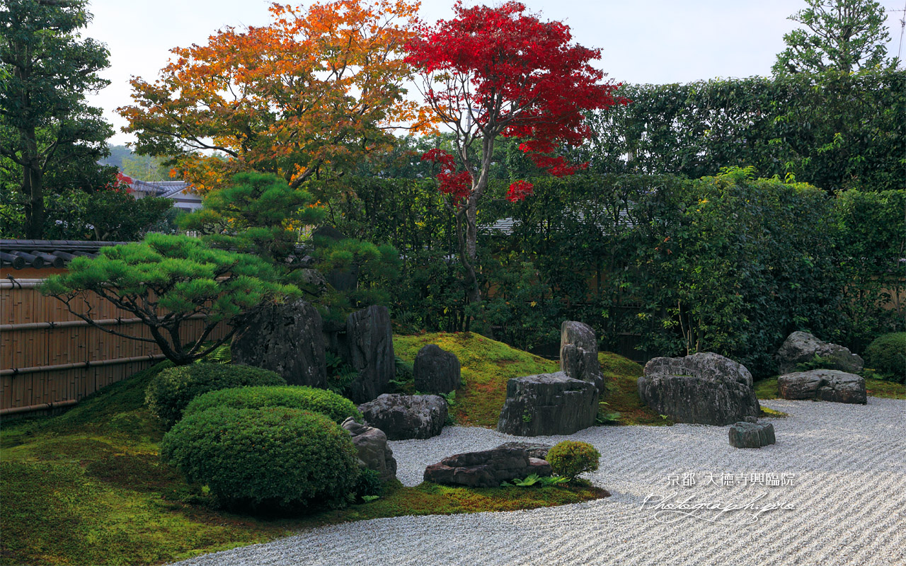 大徳寺興臨院 方丈前庭の紅葉 壁紙
