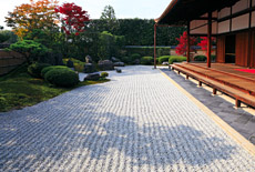 大徳寺興臨院