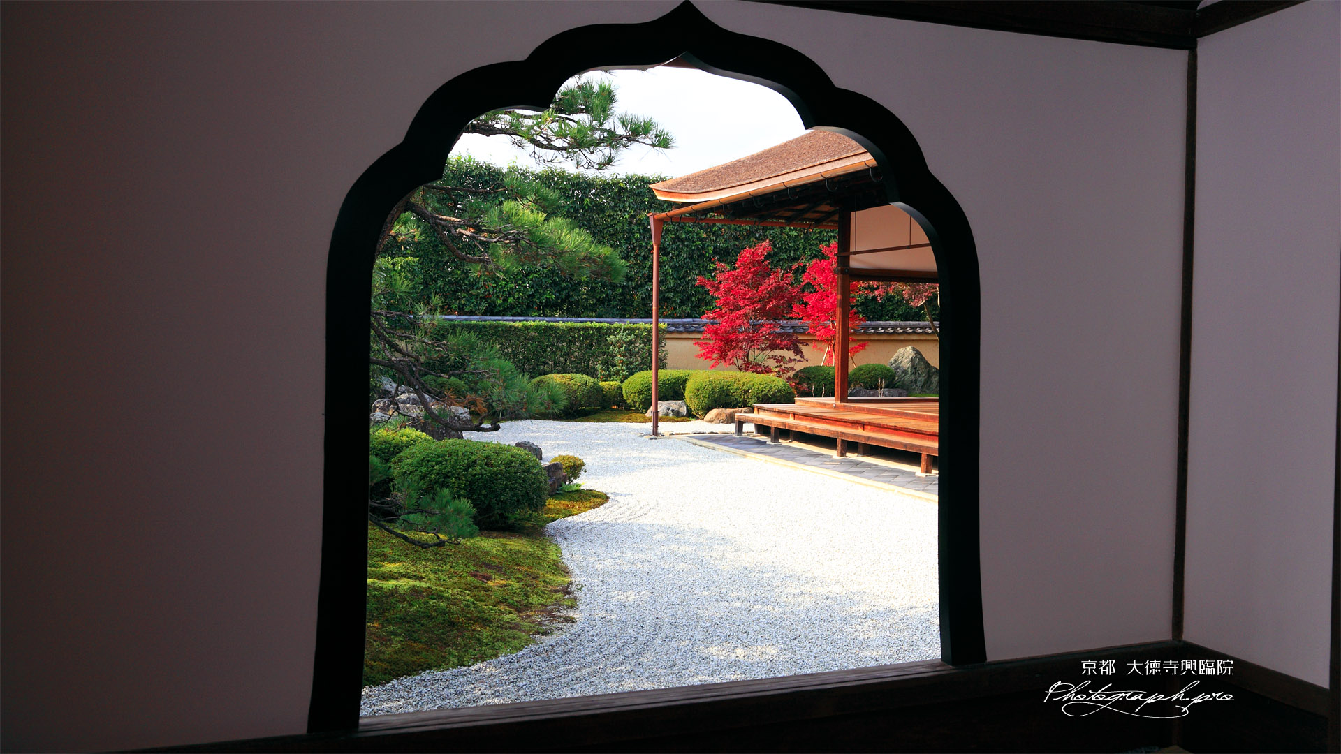 大徳寺興臨院 火灯窓越しの紅葉と方丈