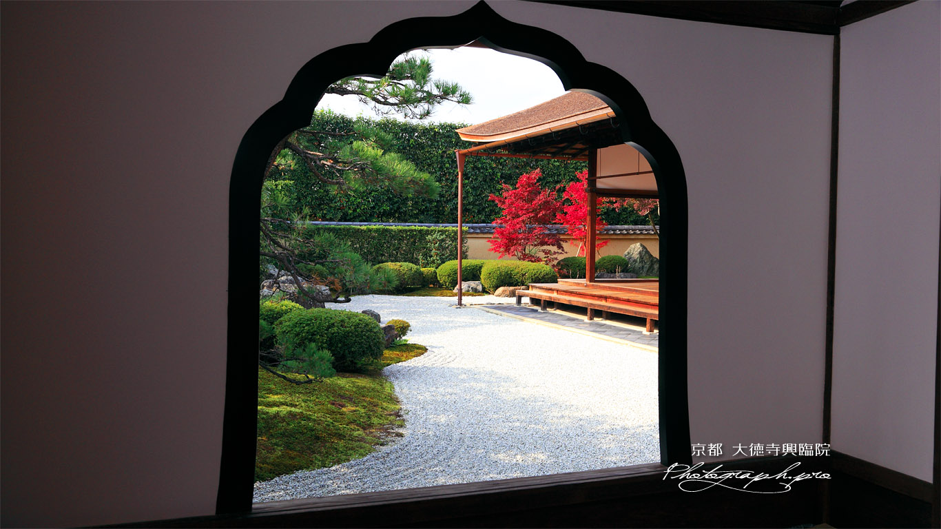 大徳寺興臨院 火灯窓越しの紅葉と方丈 壁紙