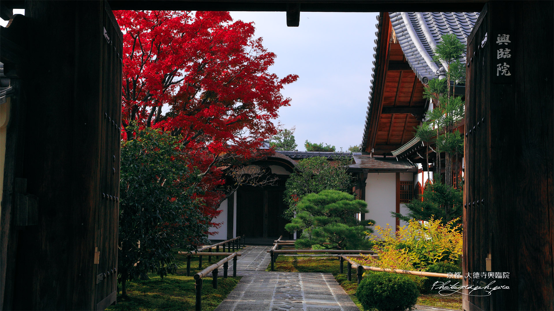 大徳寺興臨院 表門越しの紅葉と唐門