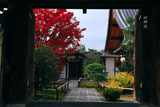 大徳寺興臨院 表門越しの紅葉と唐門