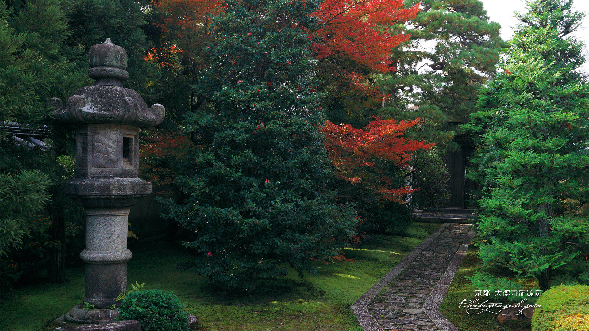 大徳寺龍源院 石燈籠と紅葉