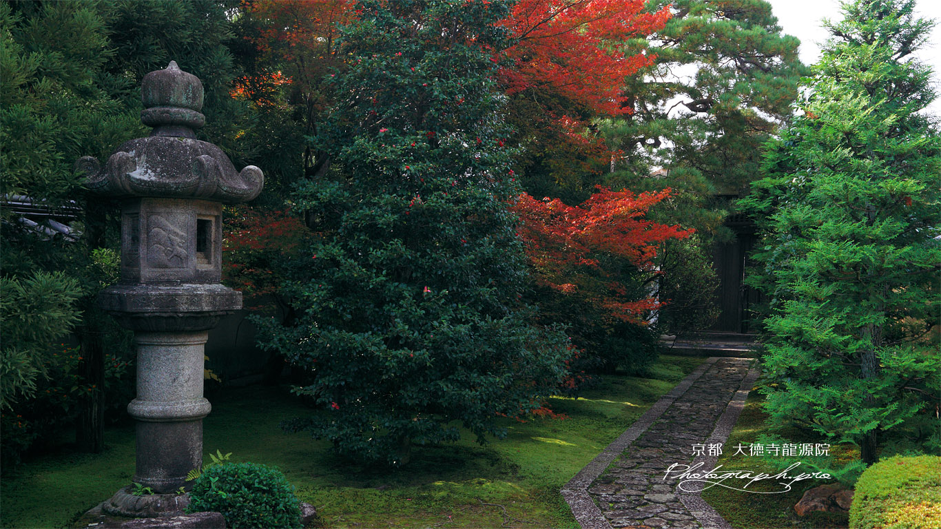 大徳寺龍源院 石燈籠と紅葉 壁紙