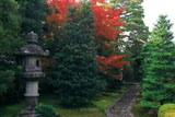 大徳寺龍源院 石燈籠と紅葉