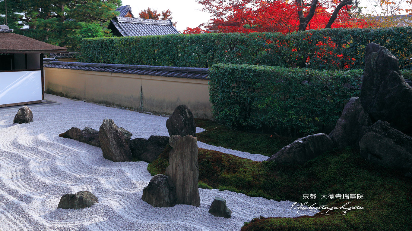 大徳寺瑞峯院 独坐庭と紅葉 壁紙