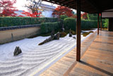 大徳寺瑞峯院 方丈から独坐庭と紅葉