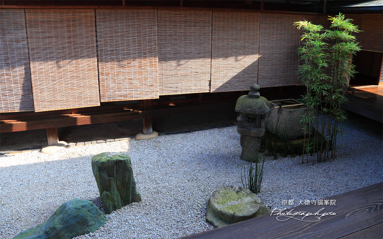 大徳寺瑞峯院 中庭露地 坪庭 壁紙