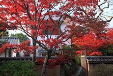 大慈院