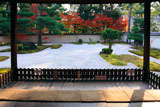廬山寺 源氏庭の紅葉