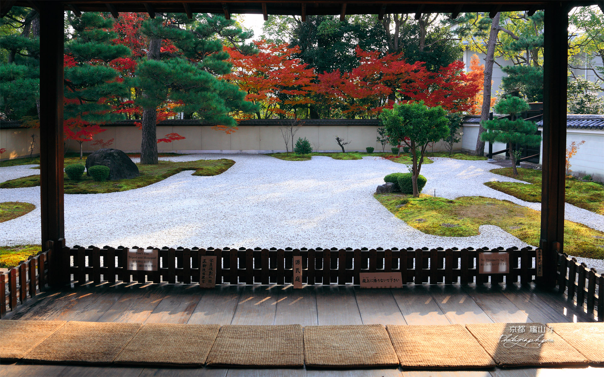 廬山寺 源氏庭の紅葉